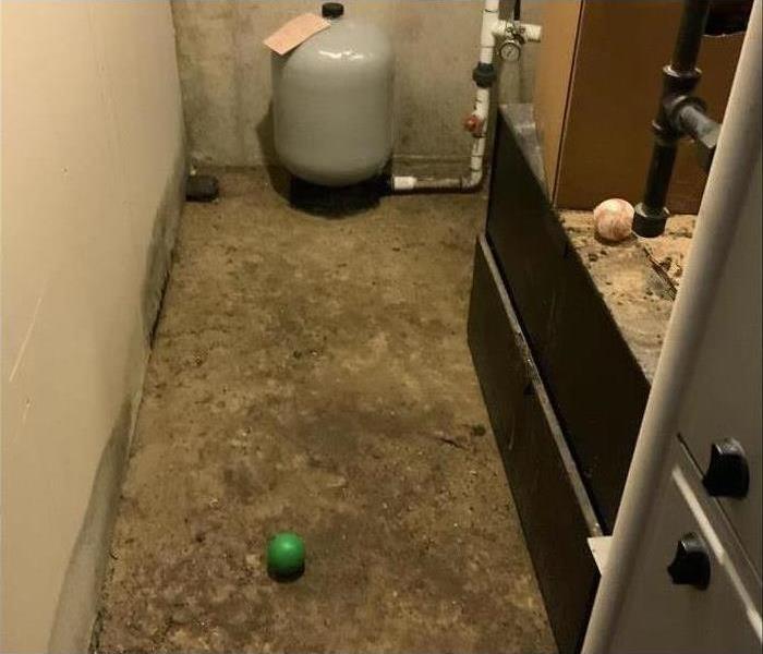 mold in basement 